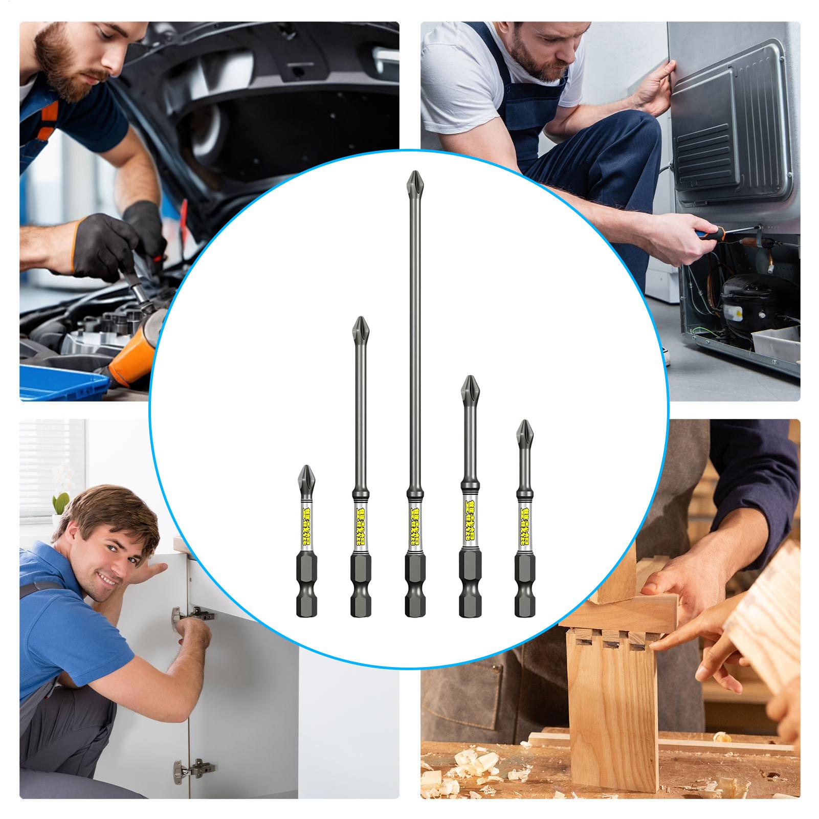 Screw Bit Set 5-Piece Precisio - đánh giá và giá Drill Bit Set